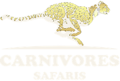 Carnivores Safaris
